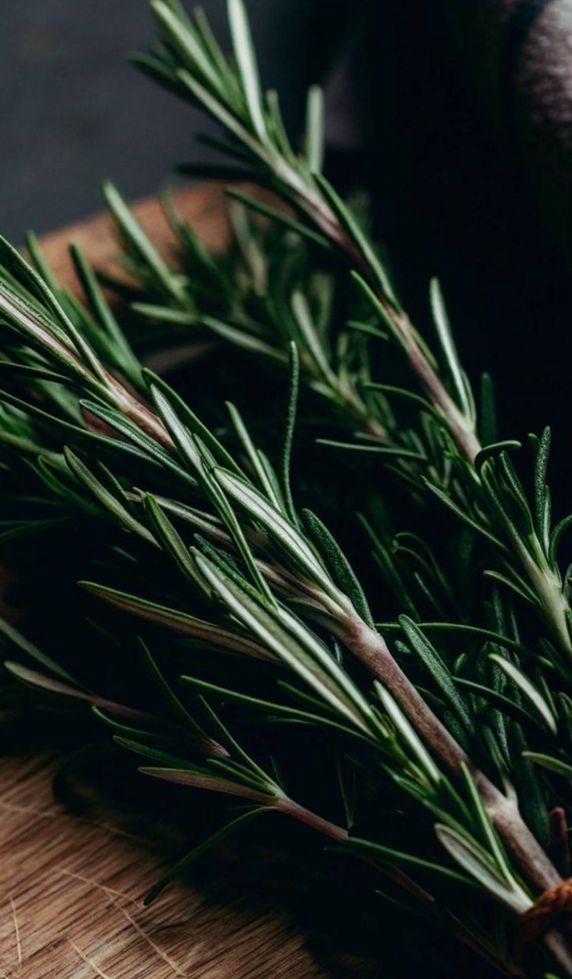 Fresh rosemary — seasonal herbs
